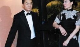 李亚鹏王菲最新爆料,揭秘他们的爱情故事与生活点滴