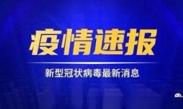 天洲最新爆料新闻事件,揭秘重大新闻事件背后真相